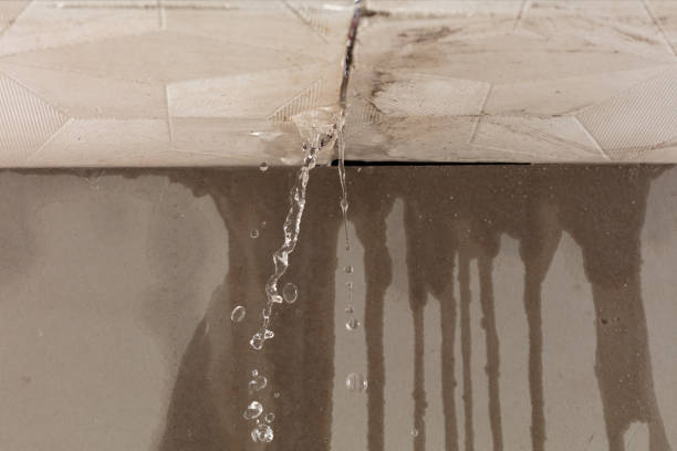 Professional Flood Damage Cleanup technician working in Cecil, WI